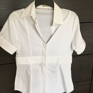 Burberry office shirt(NWOT)