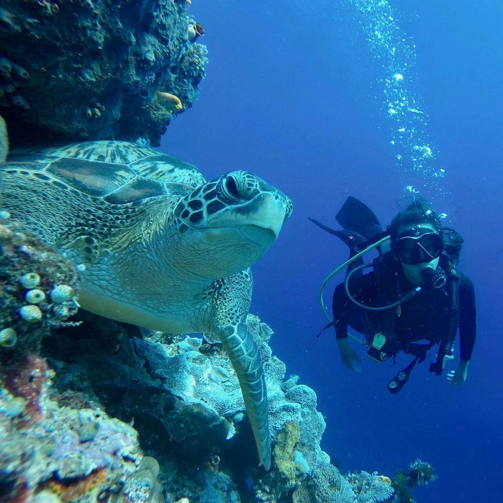 Meet your Posher, Karen