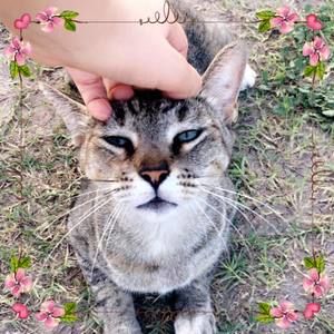 Meet your Posher, Irene