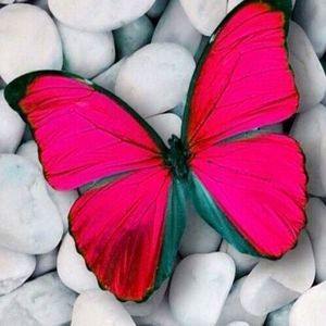 Meet your Posher, Stacy