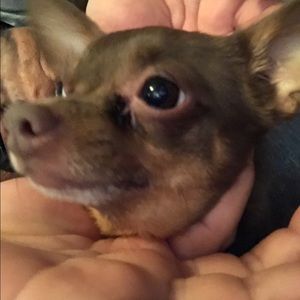 Meet your Posher, Lori