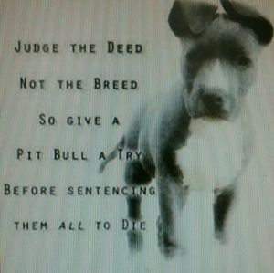 Meet your Posher, Arlene