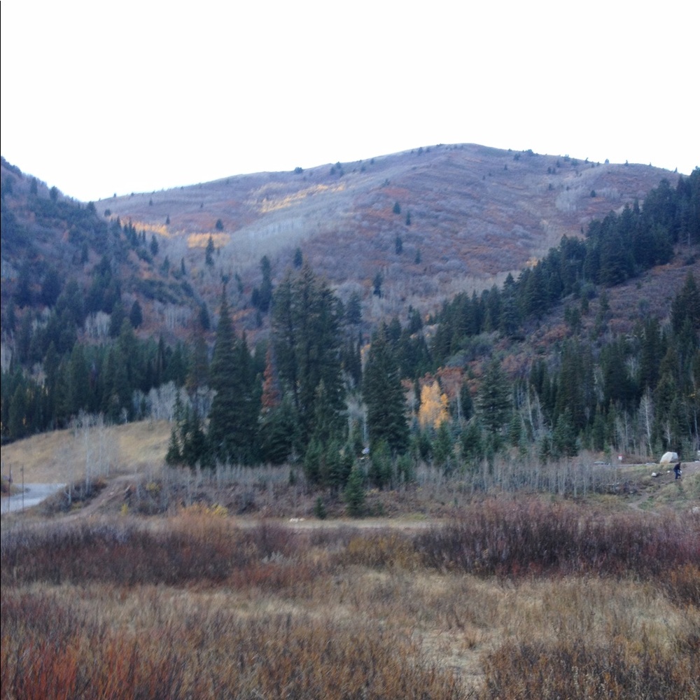 Meet your Posher, Camilla