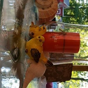 Meet your Posher, Lori