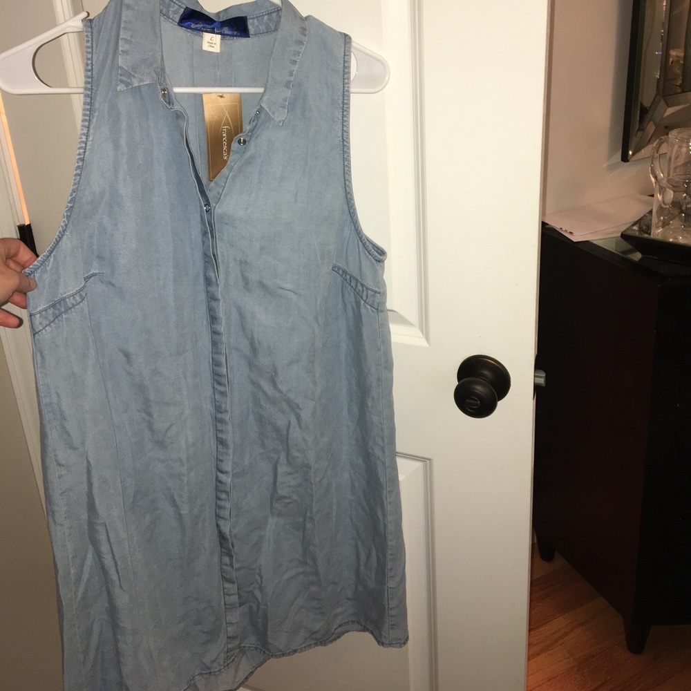 Francesca's Denim Dress