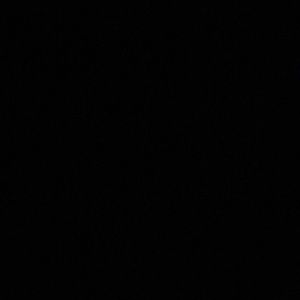 Meet your Posher, Josephine