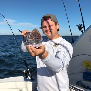 Meet your Posher, Kyle