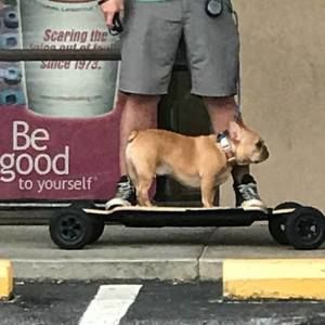 Meet your Posher, Paul