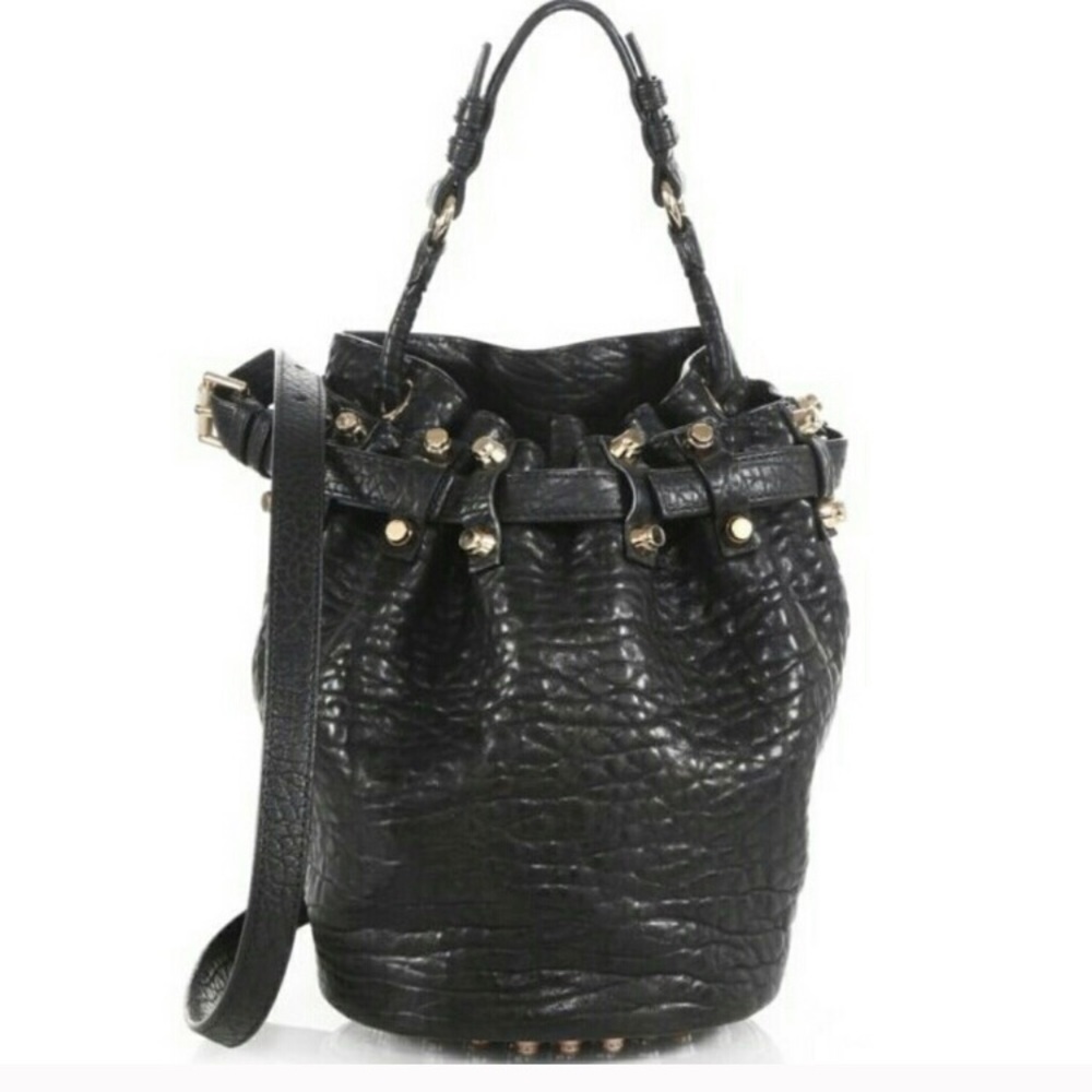 Alexander wand Diego bag