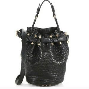 Alexander wand Diego bag