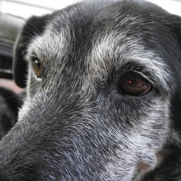 Meet your Posher, Katherine - Picture 1 of 1