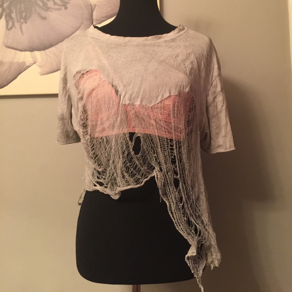 Overly Distressed Crop Top