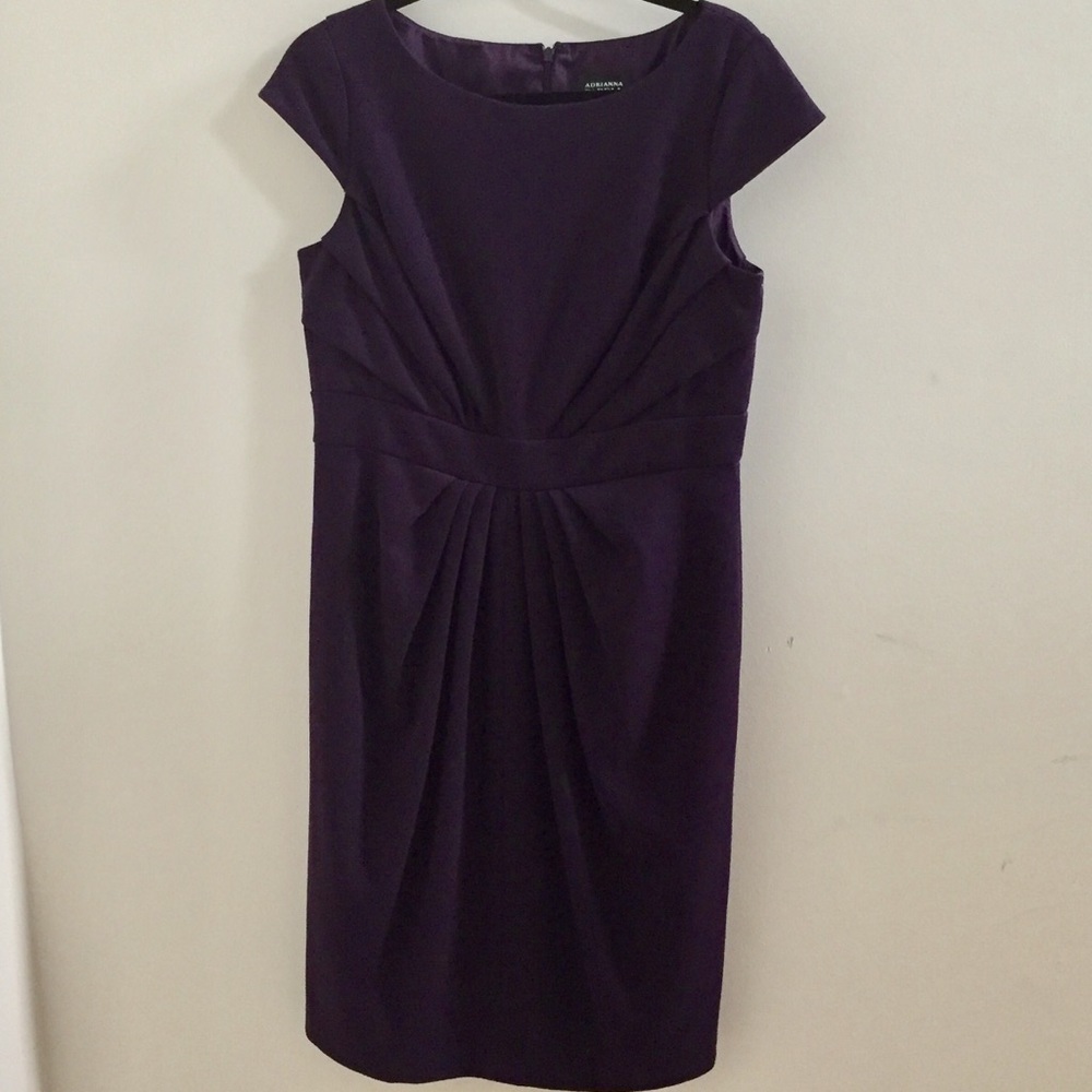 Purple/ Eggplant Adrianna Papell Cocktail Dress.
