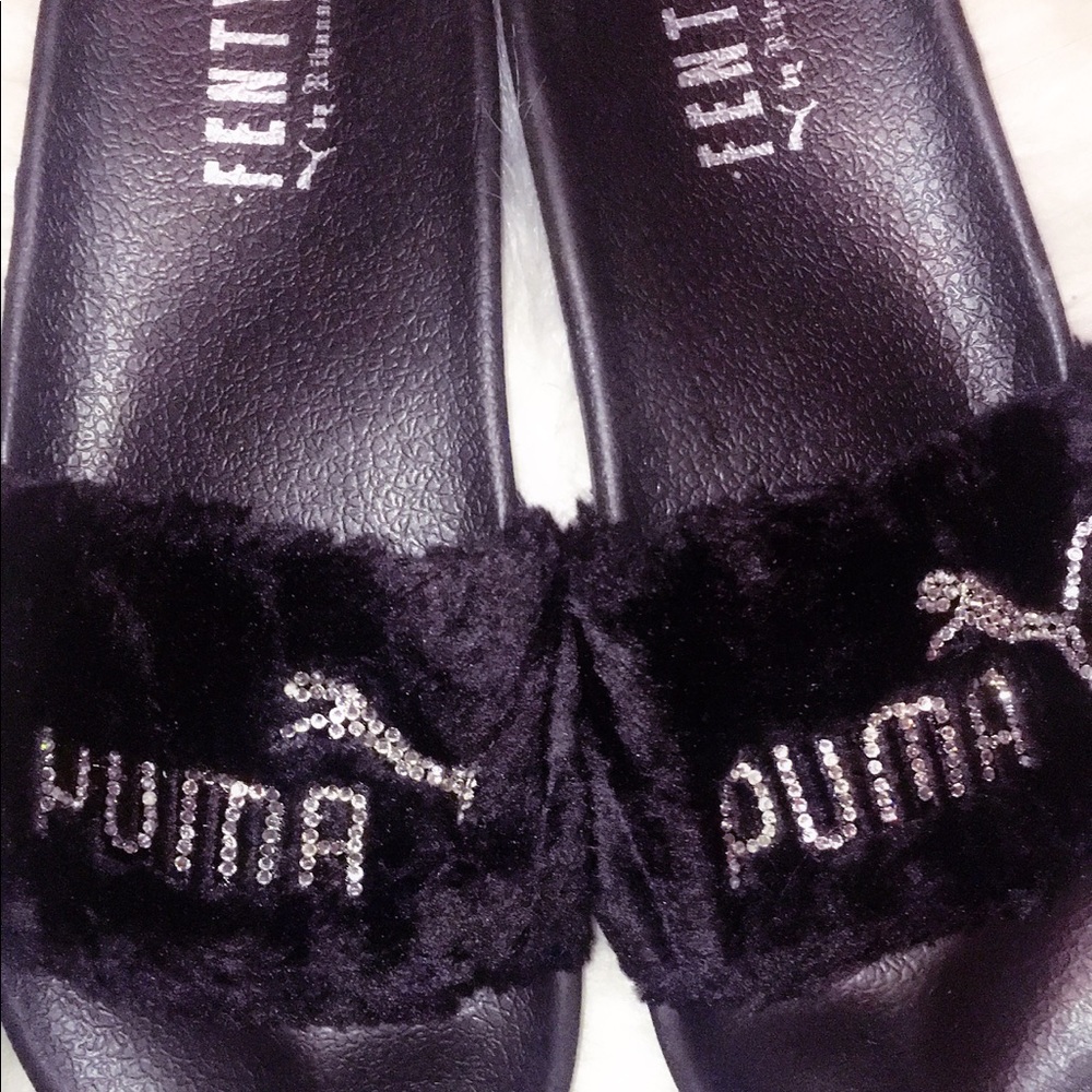 Puma slides 🐾