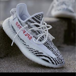 Meet your Posher, Dillon