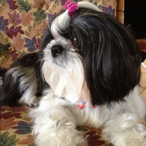 Meet your Posher, Daniella