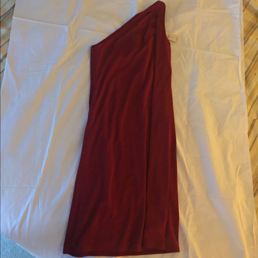 Anne Taylor Loft dress