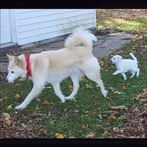 Meet your Posher, Mary