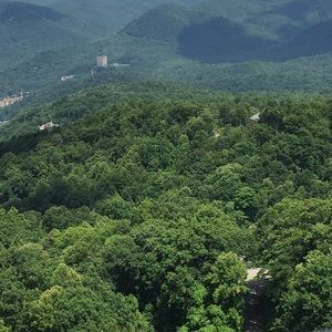 Meet your Posher, Bryan