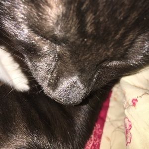 Meet your Posher, Caroline