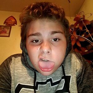 Meet your Posher, Harley