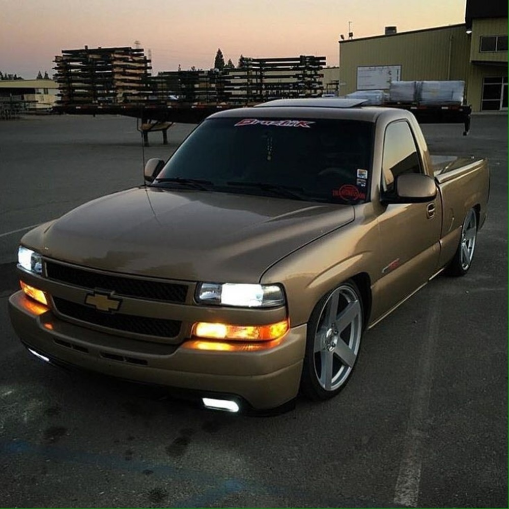 Meet your Posher, Jerry