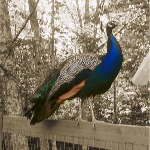 Meet your Posher, April