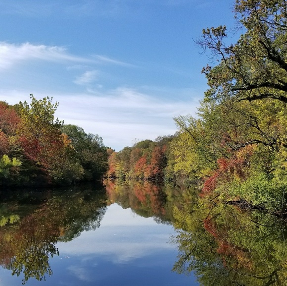 Meet your Posh Ambassador, Roxanne - Picture 2 of 2