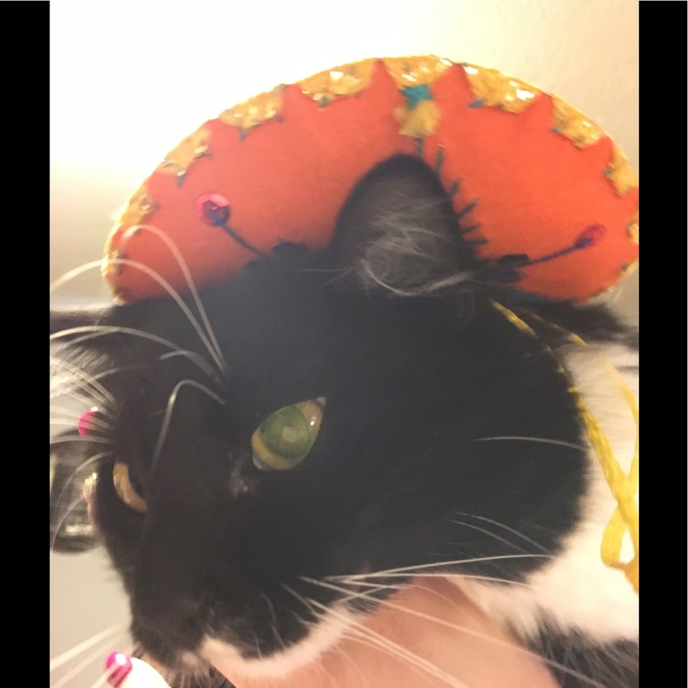 Meet your Posher, Matthew