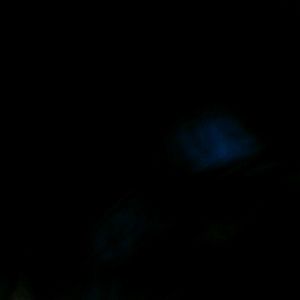 Meet your Posher, Braden