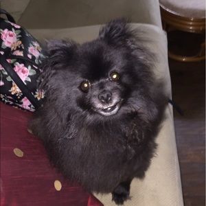 Meet your Posher, Peggy