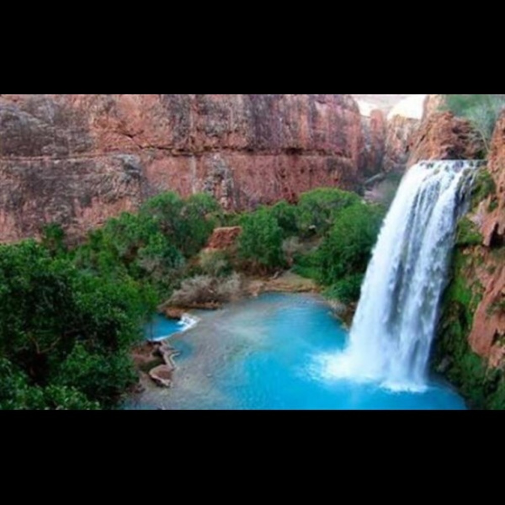 Meet your Posher, Cora