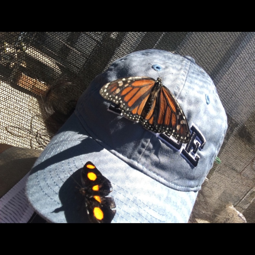 Meet your Posher, Serena