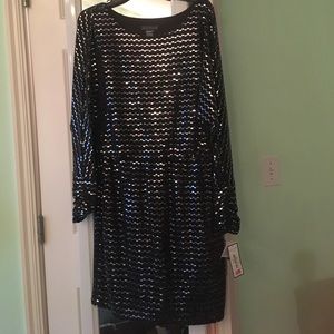 Sequin Dress Lon sleeves