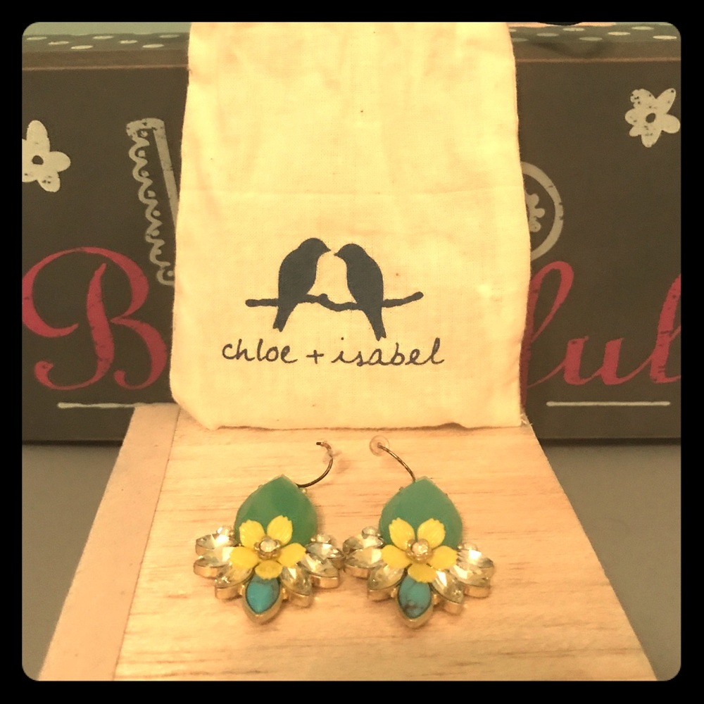 Chloe + Isabel earrings