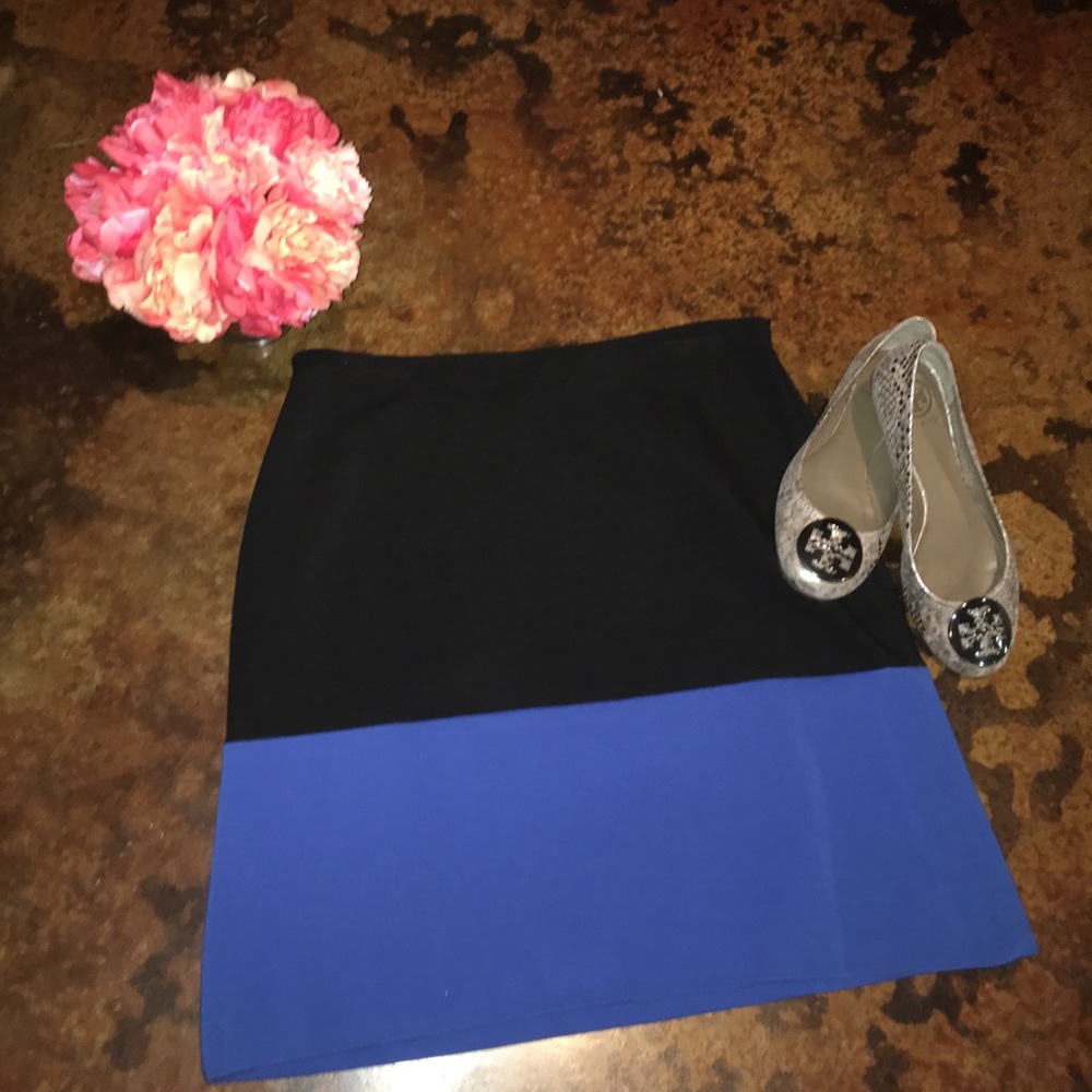 NWT Ann Taylor pencil skirt