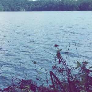 Meet your Posher, Ben