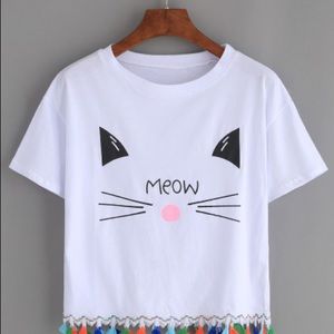 Fringe Summer to Fall Crop Top