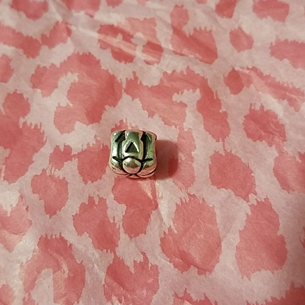 Pandora Charm