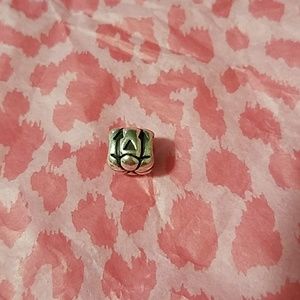 Pandora Charm