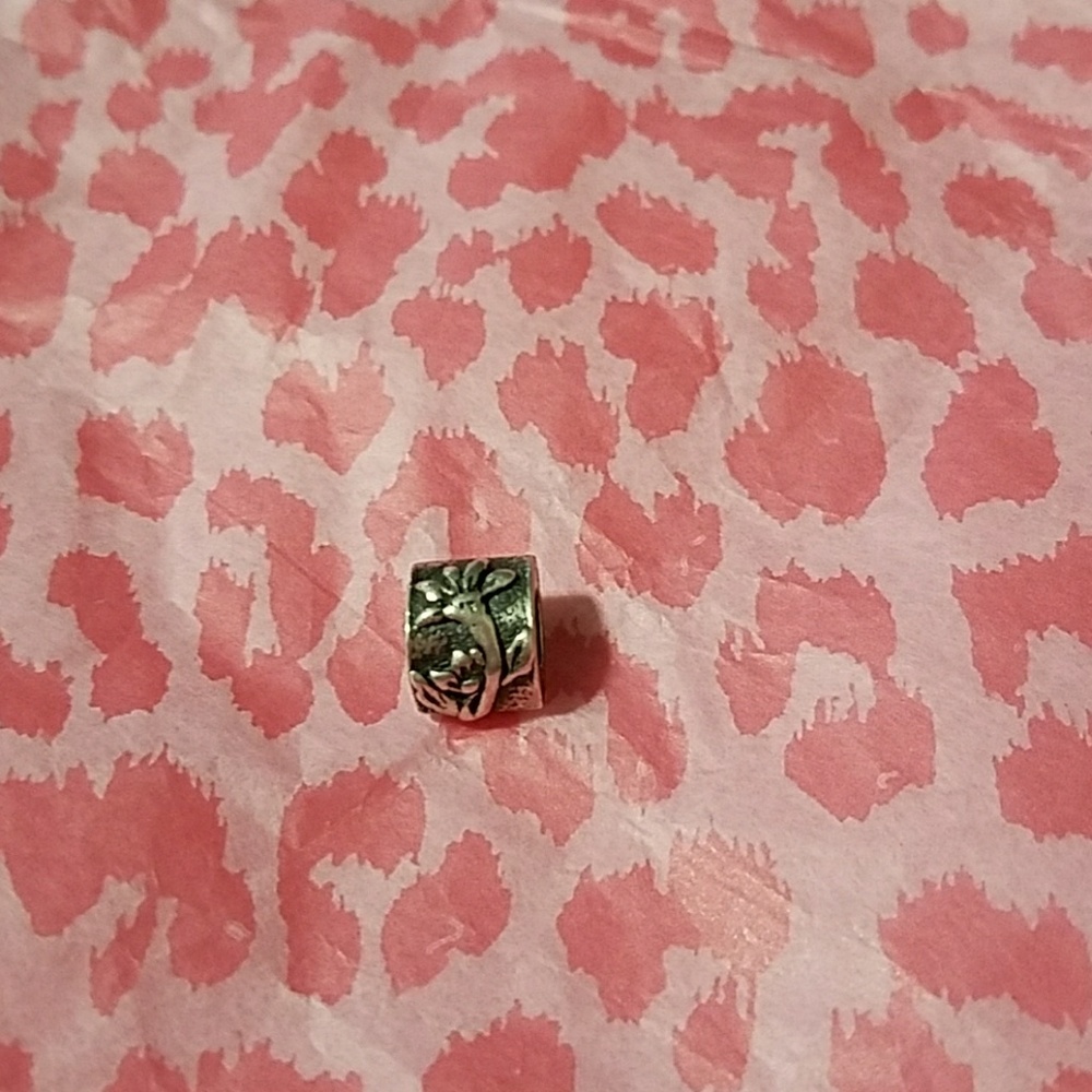 Pandora Charm