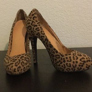 5.5 shoedazzle leopard pumps