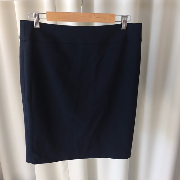 Navy Suit Skirt - Picture 7 of 7
