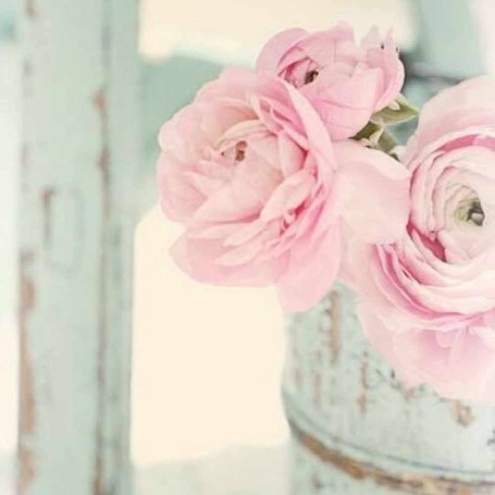 Meet your Posher, Porsche