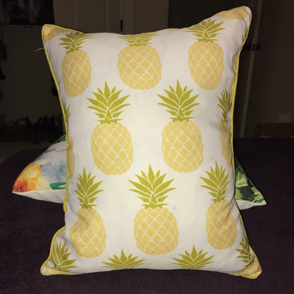 Reversible Pineapple Pillow