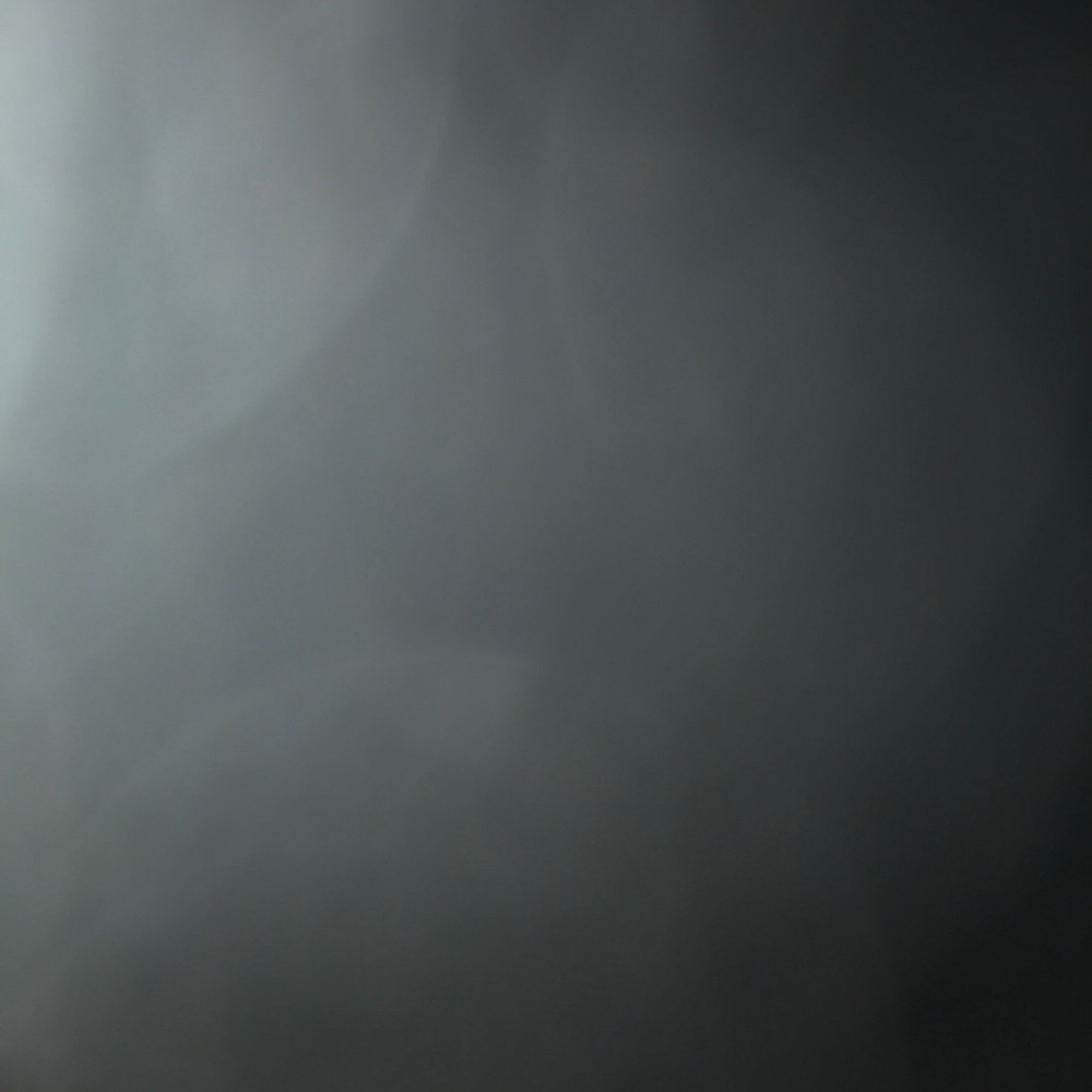 Meet your Posher, Griffin