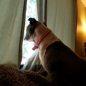 Meet your Posher, Shelly