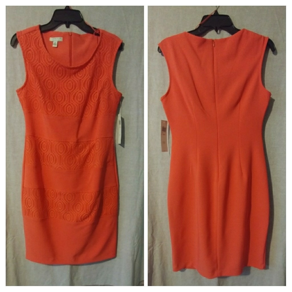 Sleeves lace sheath dress