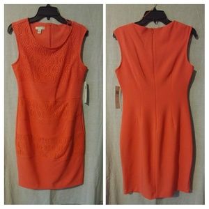 Sleeves lace sheath dress