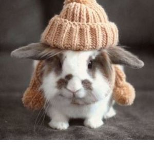 Meet your Posher, Weronika